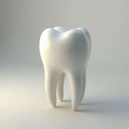 Макродентия и микродентия